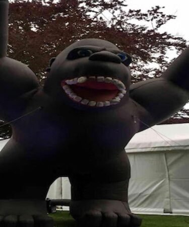 Inflatable Costume
