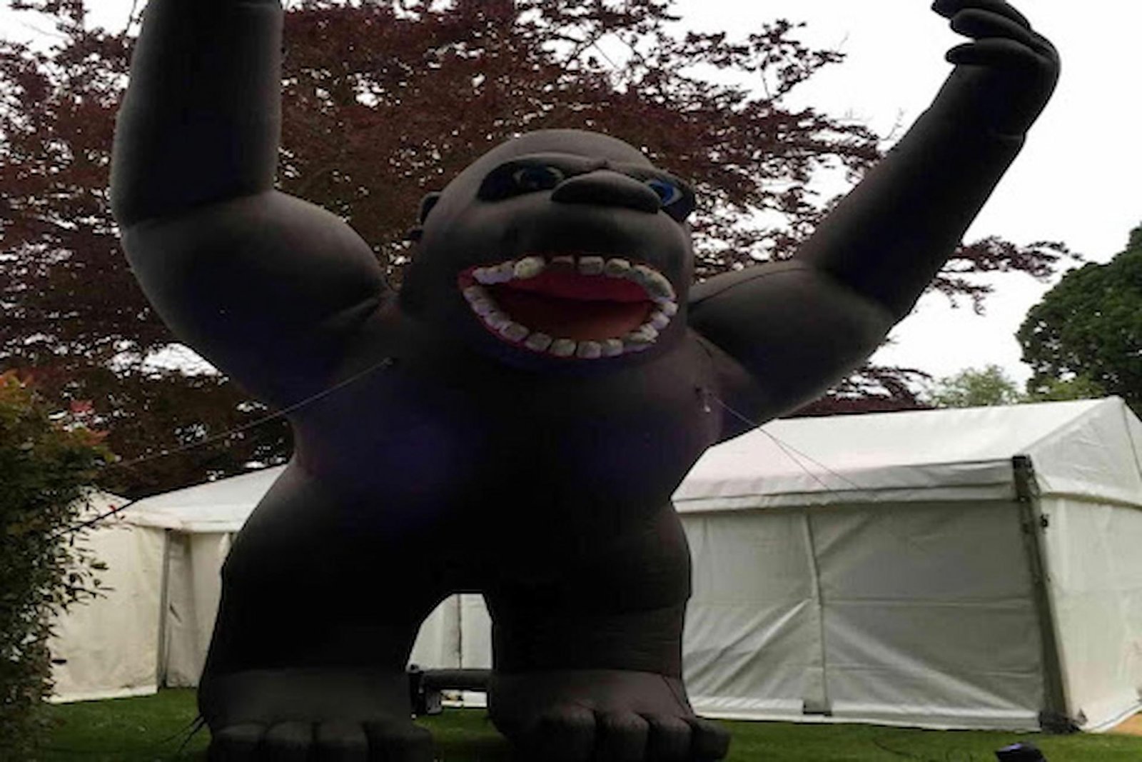 Inflatable Costume