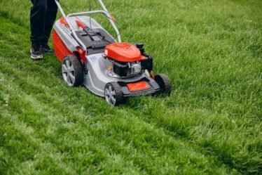 Lawn Aeration